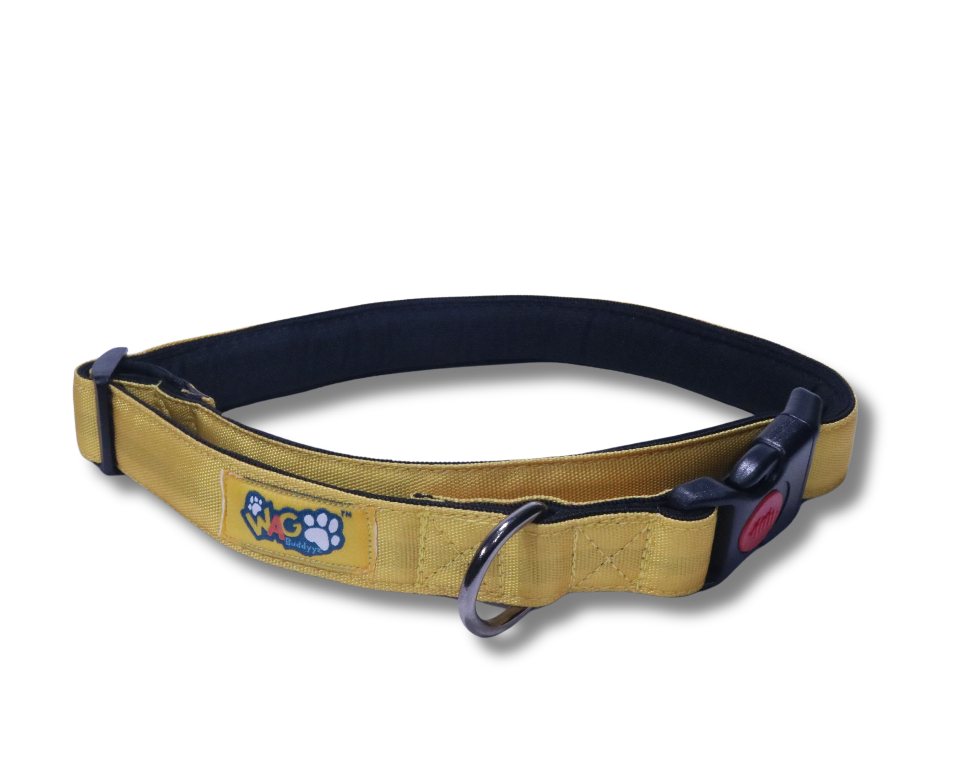 Dog Collars Padded