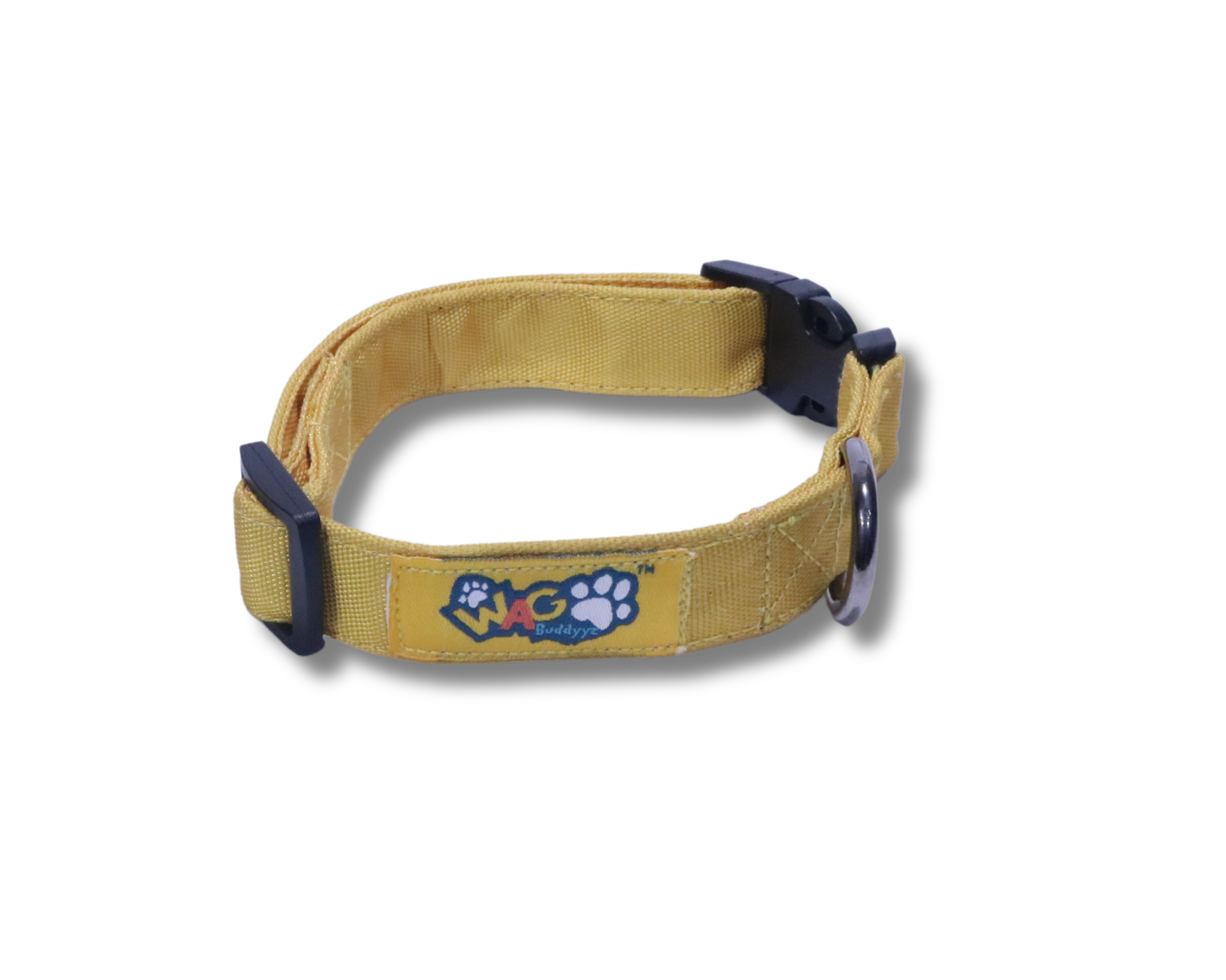 Dog Collars